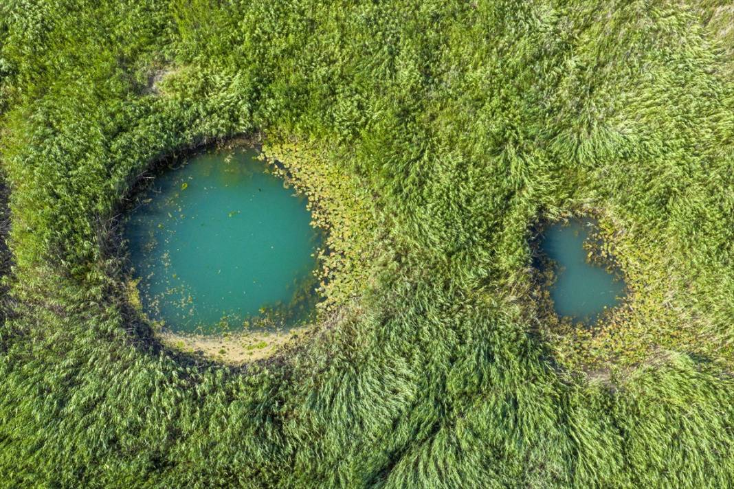 Konya’nın en büyük gölündeki büyüleyici kareler, felaketin işareti 5